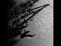 Bekijk muziek clip van Max Richter met The Trees