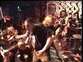 Vitamin X at Gilman street