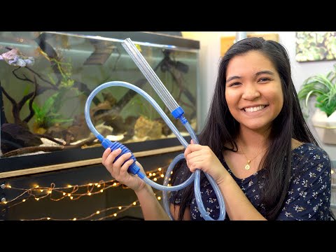 video-linktoworks-TOP 3 TIPS for CLEAN TURTLE TANKS