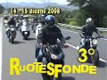 Ruotesfonde-2008-vid
