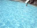 steven hubothobad hehehehe^_^ sophomore swiming steven hubothobad hehehehe^_^ sophomore swiming