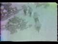 レイテ島動画5