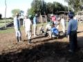 Yerra en Chaco 2007