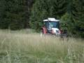 videos de Steyr