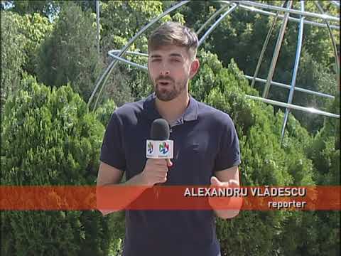 Roiule Perseidelor, la cote maxime în această noapte