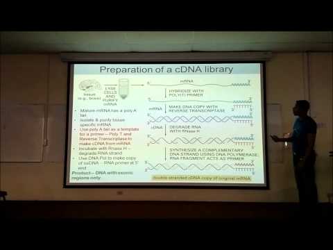 how to isolate full length cdna