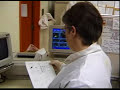 A Day in the Life - Medical Technologist A Day in the Life - Medical Technologist