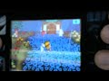 Animal Crossing Wild World: My Massive Garden and my House