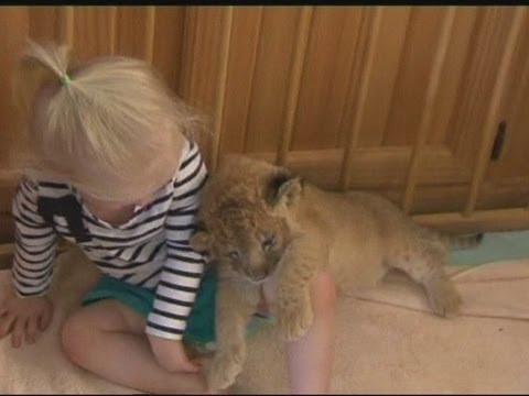 LION CUB#