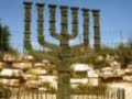 Israel for babies UFROS ALEINU
