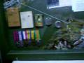 Batterie Todt Part 3