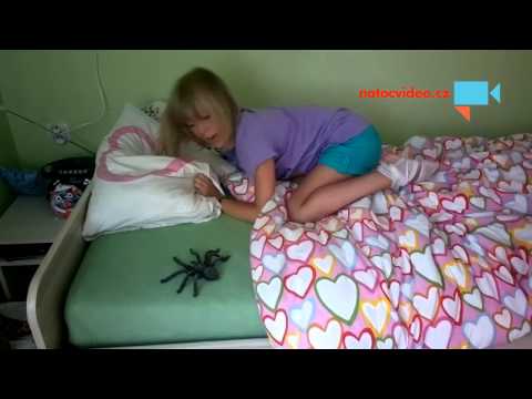 Niki a Naty, utečenec Pavouk Pepa.