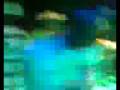 videos de SamuKa & Nego - Love Store