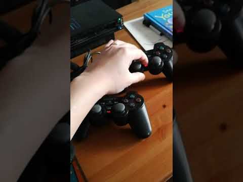 動画