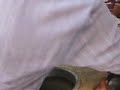 Chleb