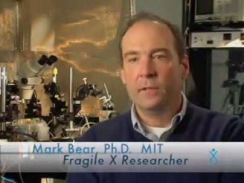how to test for fragile x syndrome