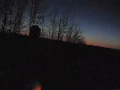 video 5 - 16 mar 2005. *frail common animal* ...rte 2 somewhere in ny. return trip from previous clip. dark sunset makes little light. parking lamps glow. oncoming car scares me away.