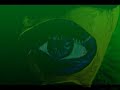 homagem tribute to brazil