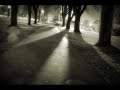Life after Dark: Shadows in the Night Life after Dark: Shadows in the Night