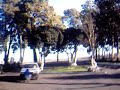 galbarino y sus lokuras