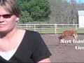Team Roping 101