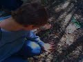 Bosque 1