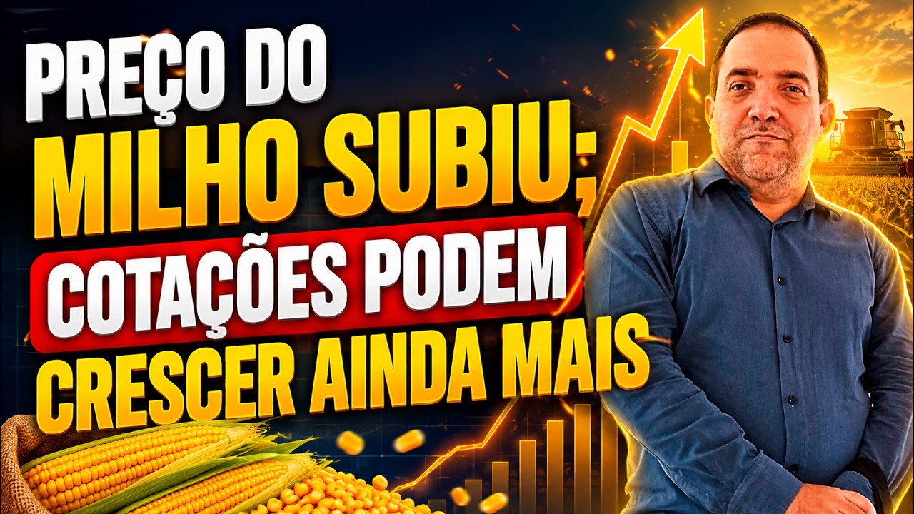 Preço do milho subiu; cotações podem crescer ainda mais.