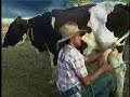 Ce faci Ioane cu vaca