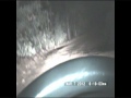 MORE BIGFOOT VOCALIZATIONS.wmv