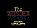 los años maravillosos   julieta de fernando delgadillo