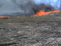 trout run rd brush fire 4 119 08
