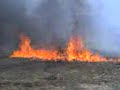 trout run rd brush fire 4 119 08