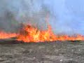trout run rd brush fire 4 119 08