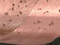 Mec�nica Agroindustrial - Video promocional