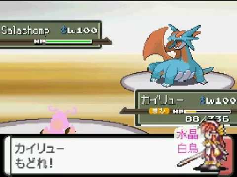 ペットの賢いプラチナは対戦します 09-01-24