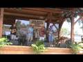Summergrass