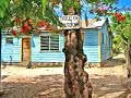 Belize trip