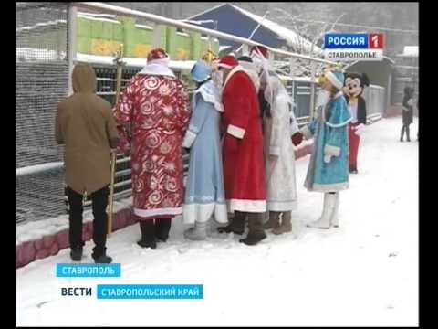 Слет Дедов Морозов СГТРК Слет Дедов Морозов СГТРК