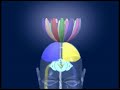Sahaja Yoga - Pubblicit� per Teletruria