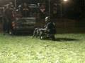 videos de Hawaii's Strongest Dog Diego 