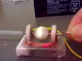 Pulse Motor (Newman 04) 095