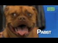 Worlds Ugliest Dog - 2009