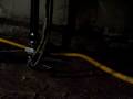 videos de 028