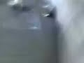 arma caseira