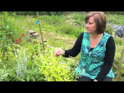 how to help a migraine