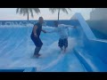 Cosmo Fluid Crew - Chillax Rider