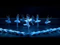 tchaikovsky   swan lake  nureyew    blu ray