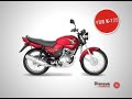 VT Disnove Motos - Ofertas