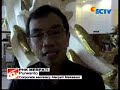 Rugi, Merpati PHK Ribuan Karyawan