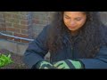 Patti Moreno, the Garden Girl, mulches her kitchen garden beds with Newspaper and Cocoa shell mulch. Distributed by Tubemogul.